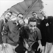 Strung Out - List pictures