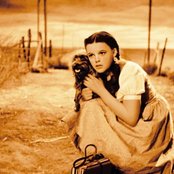 Judy Garland - List pictures