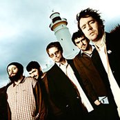 Augie March - List pictures