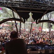 Earthling - List pictures