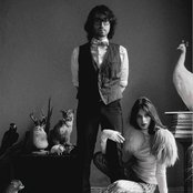 The Ghost Of A Saber Tooth Tiger - List pictures