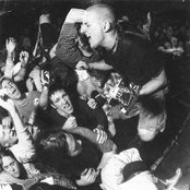 Shelter - List pictures