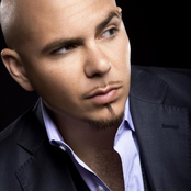 Pitbull - List pictures