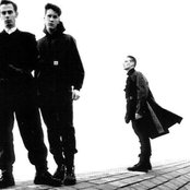 Covenant - List pictures