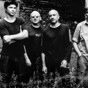 Noir Desir - List pictures