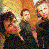 Muse - List pictures