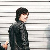 Verbena - List pictures