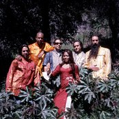 Dengue Fever - List pictures