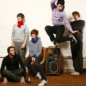 Foals - List pictures