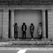 Lillies And Remains - List pictures