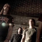 Dead To Fall - List pictures