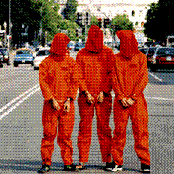 Trans Am - List pictures