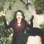 Avrigus - List pictures