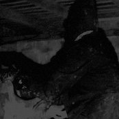 Portal - List pictures