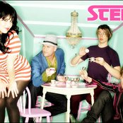 Stefy - List pictures