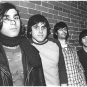 Piebald - List pictures