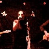 Imago - List pictures