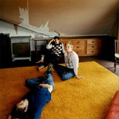 Grizzly Bear - List pictures