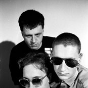 Front 242 - List pictures
