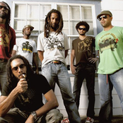 Rootz Underground - List pictures