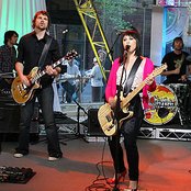 Little Birdy - List pictures