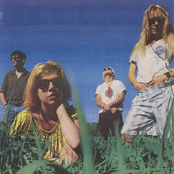 Belly - List pictures