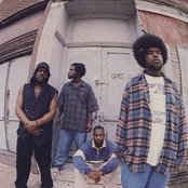 The Roots - List pictures