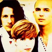 Presuntos Implicados - List pictures