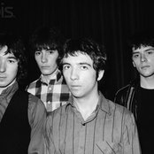 Buzzcocks - List pictures