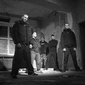 Born From Pain - List pictures