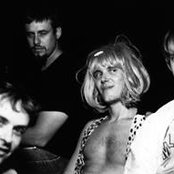 The Cows - List pictures