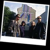 Neljä Ruusua - List pictures