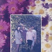 Tops - List pictures