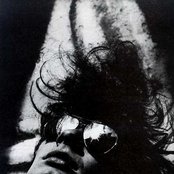 Foetus - List pictures