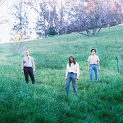 Meatbodies - List pictures