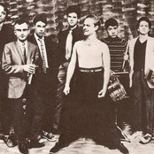 Oingo Boingo - List pictures
