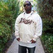 City Boy - List pictures