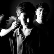 Flowers - List pictures