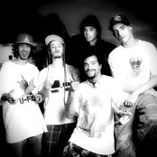 Conecrewdiretoria - List pictures