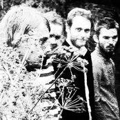 Sigur Ros - List pictures