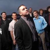 Pietasters - List pictures