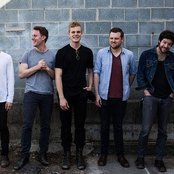 Wild Cub - List pictures