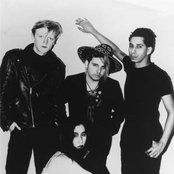 The Gun Club - List pictures