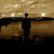 Mountain Bird - List pictures