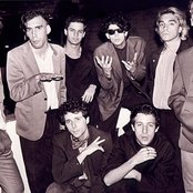 Titas - List pictures