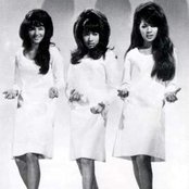 The Ronettes - List pictures