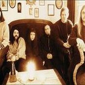 White Willow - List pictures