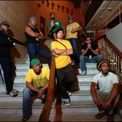 Katchafire - List pictures