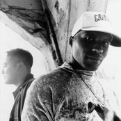 Dr. Octagon - List pictures