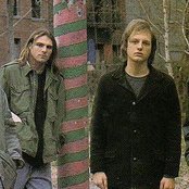 Quicksand - List pictures